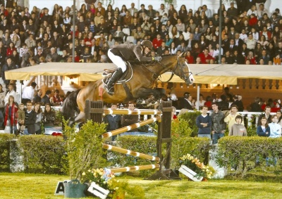 Stallion Jo De Labarde